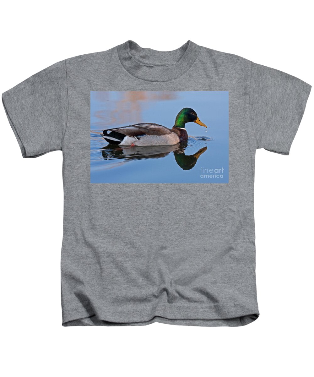 Anas Platyrhynchos Kids T-Shirt featuring the photograph Mallard Duck in Sterne Lake by Fred Stearns