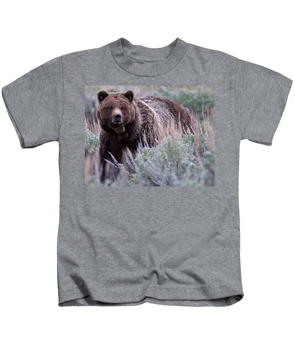 Grizzly Kids T-Shirt featuring the photograph Mama Grizzly by Natural Focal Point Photography