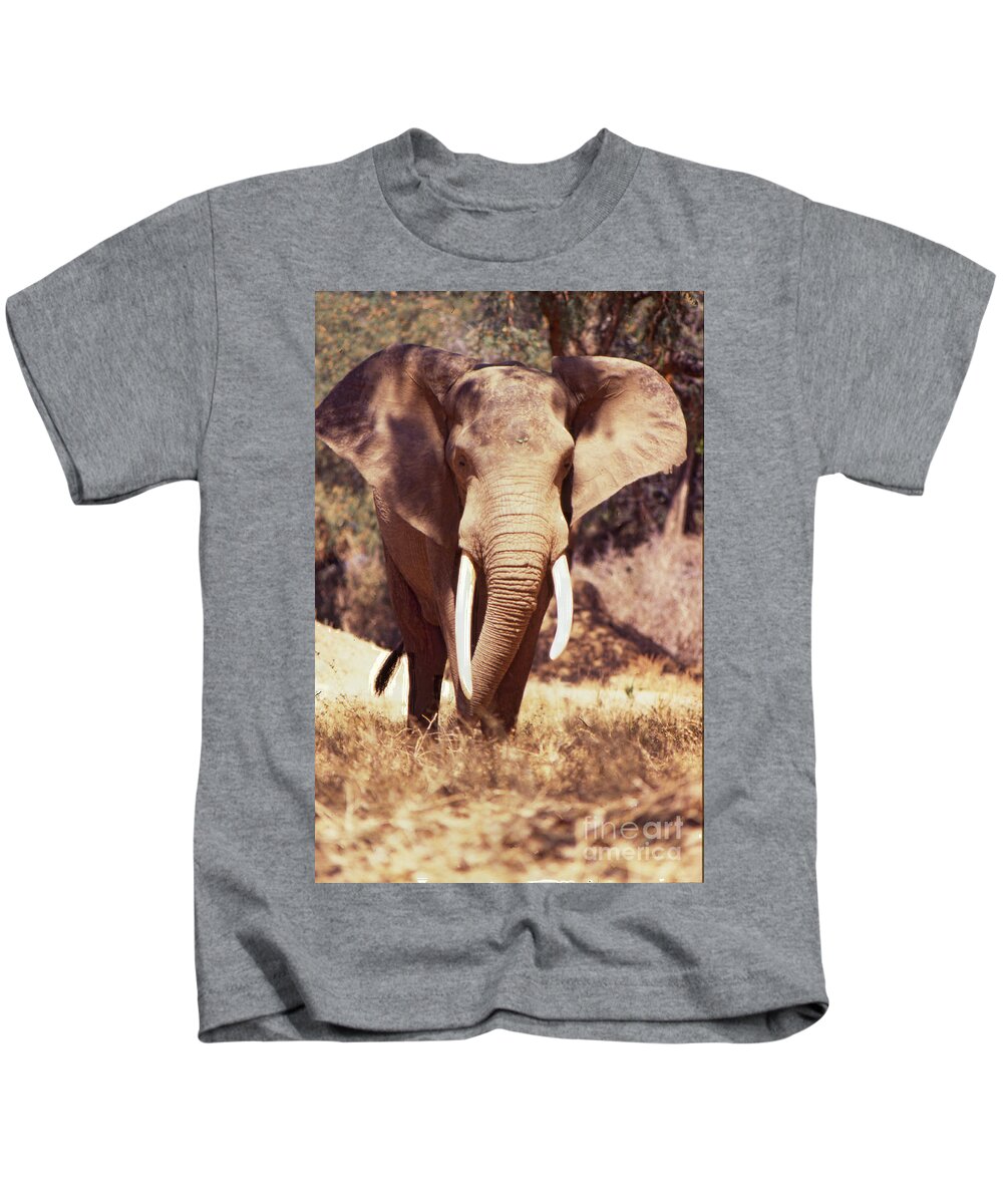 Mana Pools Kids T-Shirt featuring the photograph Mana Pools Elephant by Jeremy Hayden