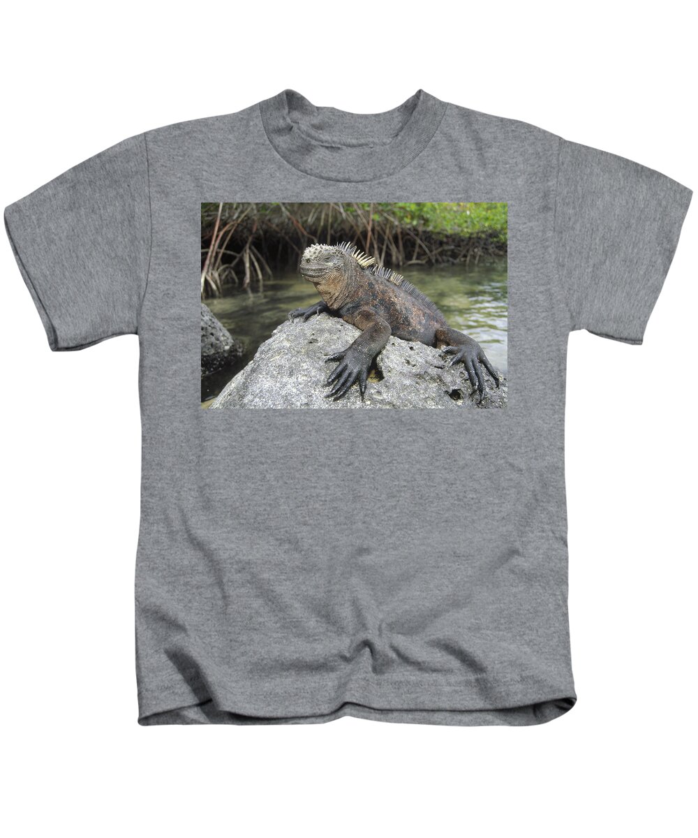 Feb0514 Kids T-Shirt featuring the photograph Marine Iguana Clings To Lava Rock by Tui De Roy
