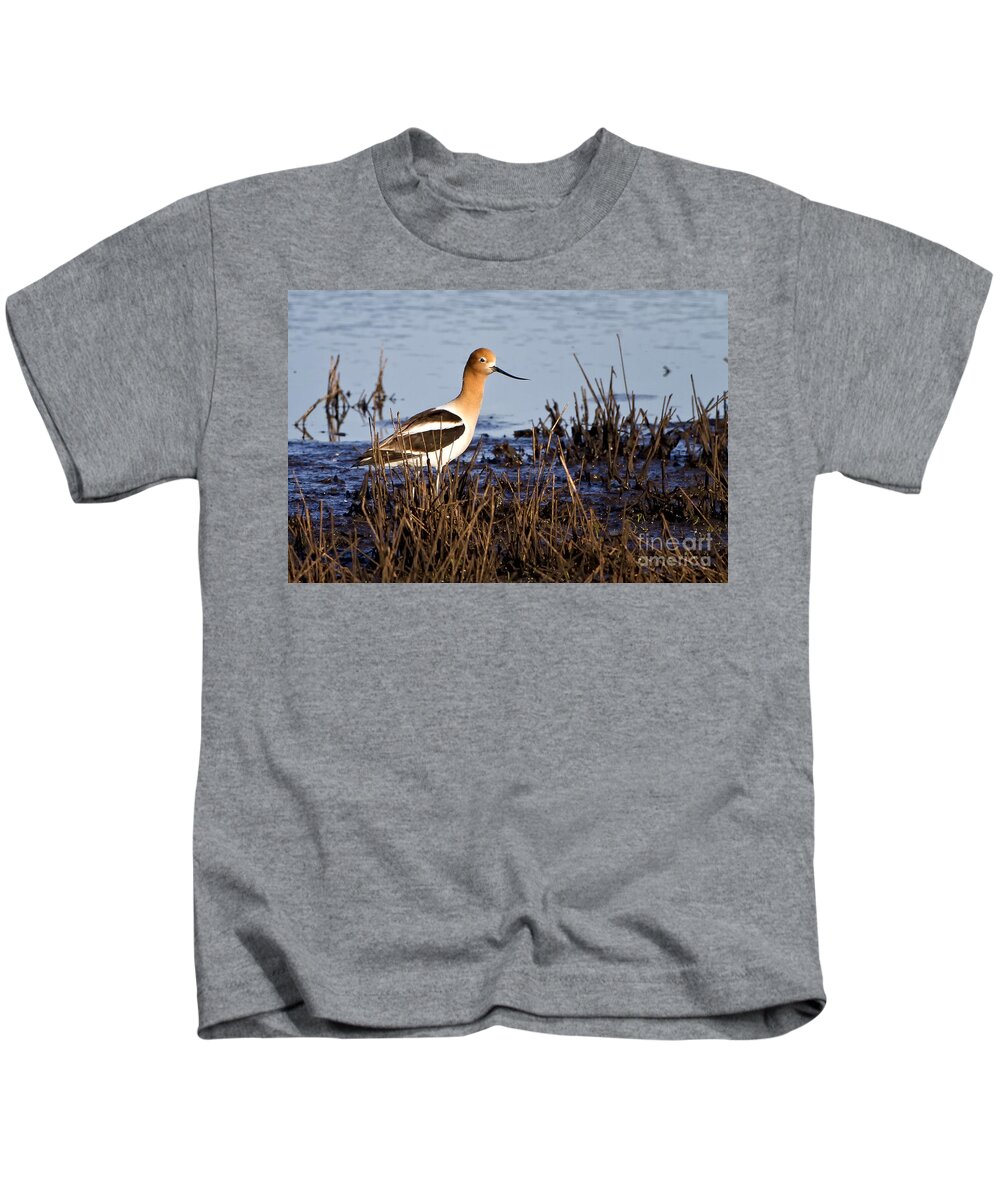 American Avocet Kids T-Shirt featuring the photograph Mating Time by Ronald Lutz