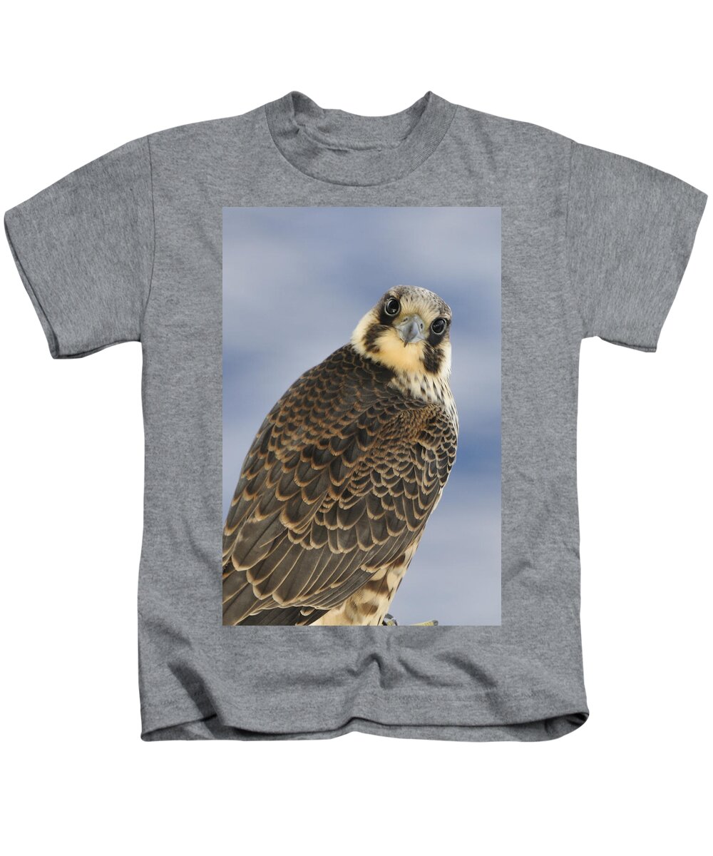 Falcon Kids T-Shirt featuring the photograph Peregrine falcon looking at you by Bradford Martin