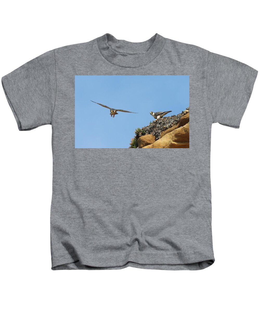 Peregrine Kids T-Shirt featuring the photograph Peregrine Falcons - 1 by Christy Pooschke