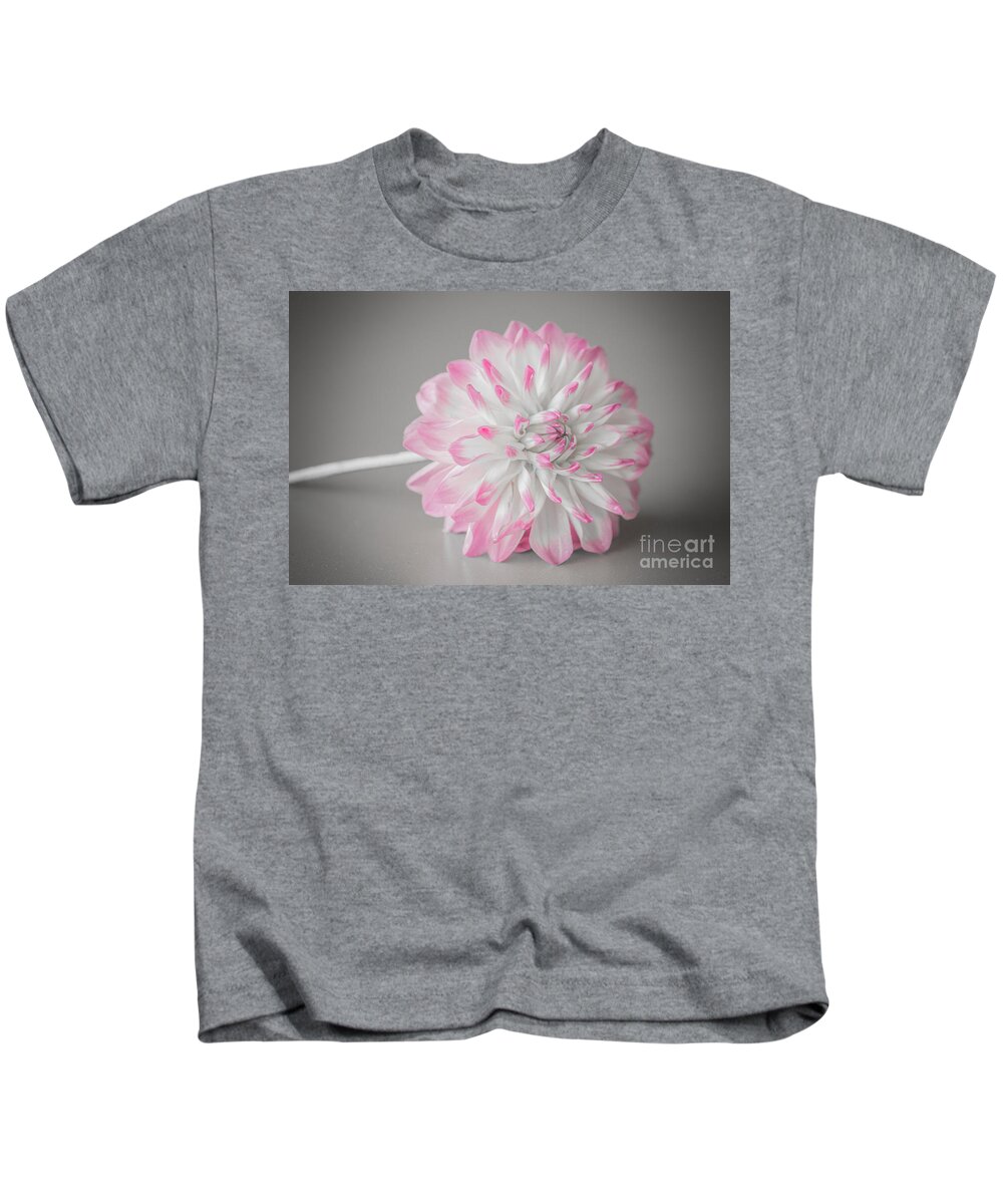 Flower Kids T-Shirt featuring the photograph Pink Dahlia by Amanda Mohler
