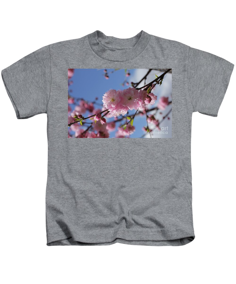 Landscape Kids T-Shirt featuring the photograph Pink Plum on Sky 2 by Donna L Munro