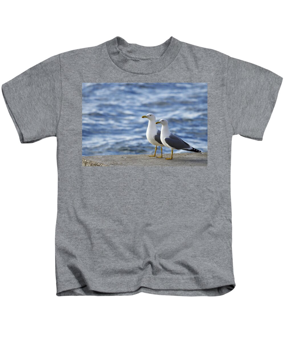 Sea Kids T-Shirt featuring the photograph Posing seagulls by Ivan Slosar