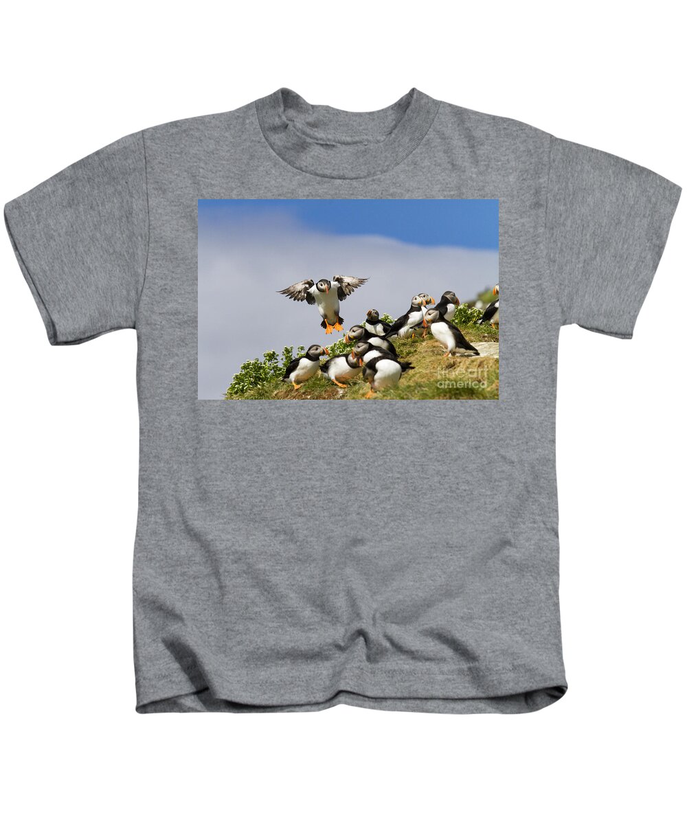 Puffin Kids T-Shirt featuring the photograph Puffin Colony on Bird Island Hornoya by Heiko Koehrer-Wagner