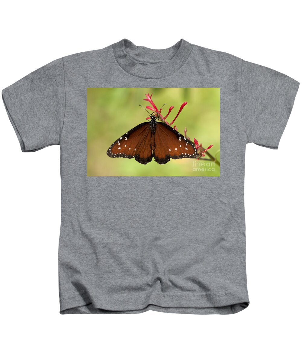Queen Butterfly Kids T-Shirt featuring the photograph Queen Butterfly by Meg Rousher