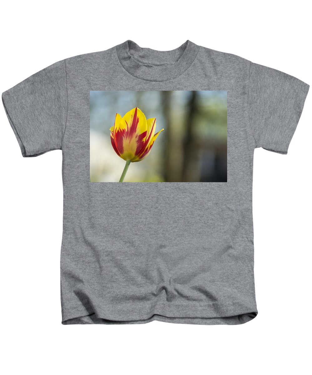 Tulip Kids T-Shirt featuring the photograph Red and Yellow Tulip on Blurred Background by Photographic Arts And Design Studio
