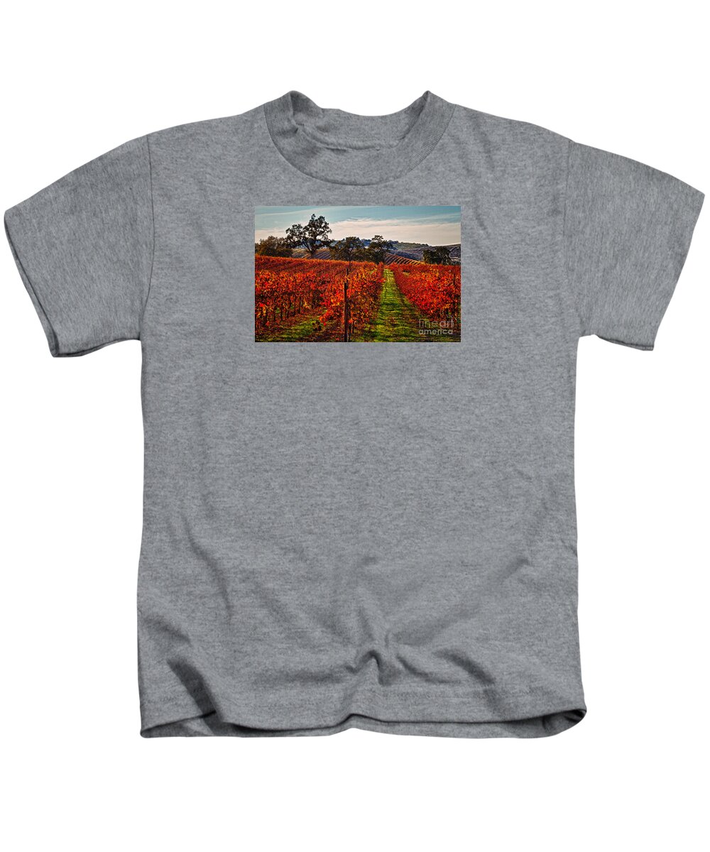 Grapes Kids T-Shirt featuring the photograph Red Vines by Alice Cahill