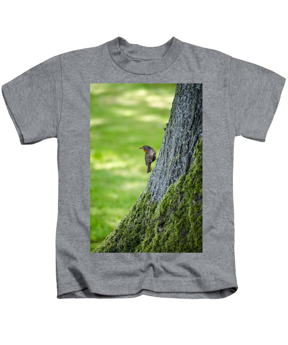 Garden Kids T-Shirt featuring the photograph Robin At Rest by Spikey Mouse Photography
