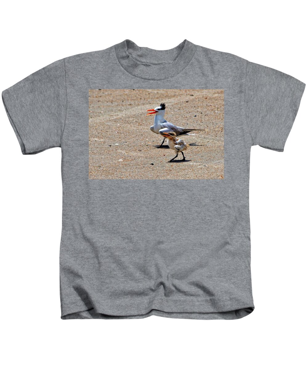 Bird Kids T-Shirt featuring the photograph Royal Tern with Chick by Ludwig Keck