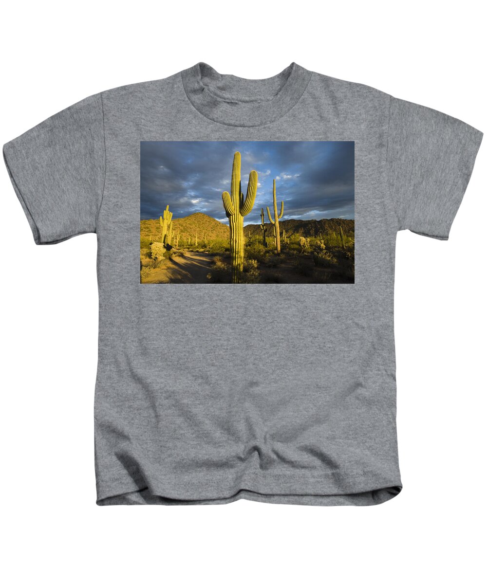 Feb0514 Kids T-Shirt featuring the photograph Saguaro Cacti In Desert Arizona by Tom Vezo