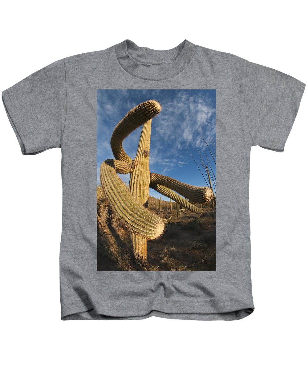 Feb0514 Kids T-Shirt featuring the photograph Saguaro Cactus Saguaro Np Arizona by Kevin Schafer