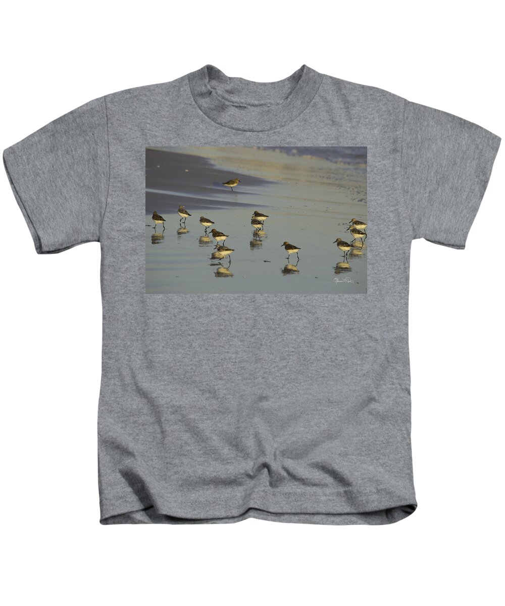 susan Molnar Kids T-Shirt featuring the photograph Sandpiper Sunset Reflection by Susan Molnar