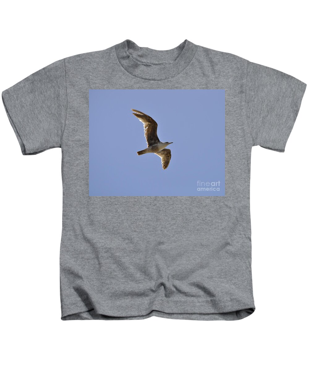 Seagull Kids T-Shirt featuring the photograph Seagull n Light by Bridgette Gomes