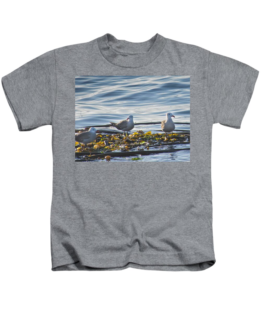 Seascape Kids T-Shirt featuring the photograph Seagulls in Victoria BC by Natalie Rotman Cote