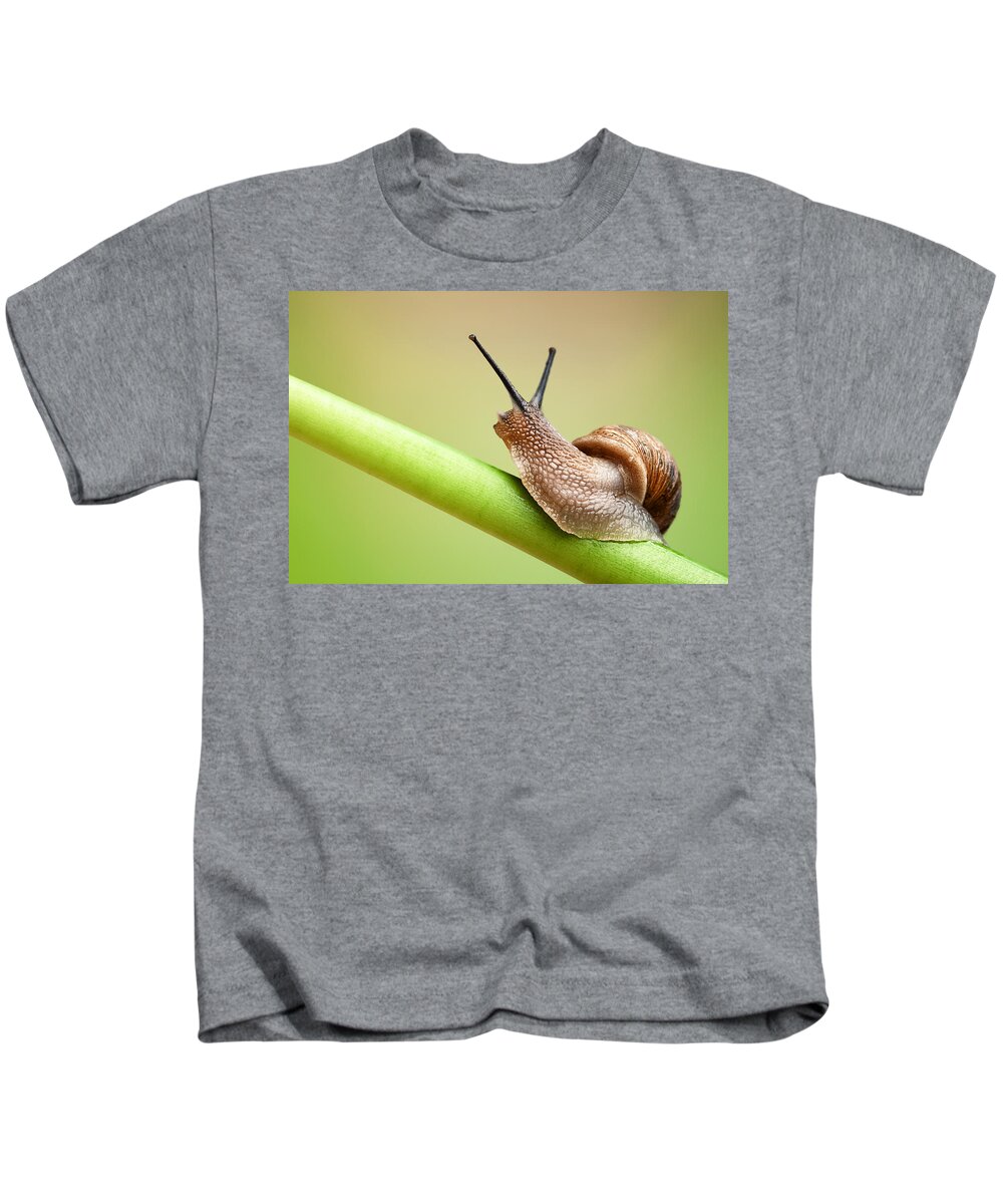 Snail Kids T-Shirt featuring the photograph Snail on green stem by Johan Swanepoel