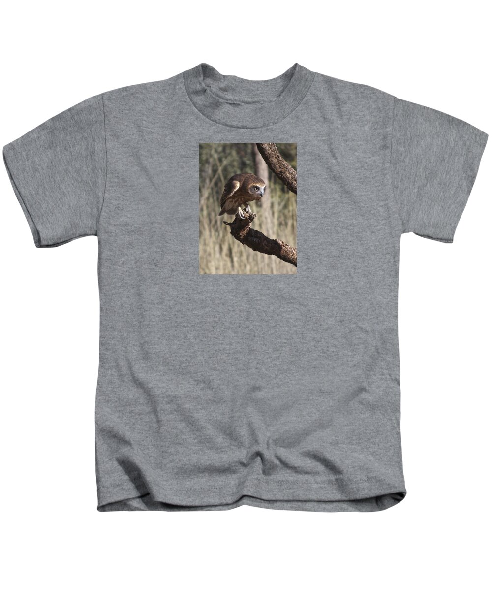 Animal Kids T-Shirt featuring the photograph Southern Boobok Owl by Venetia Featherstone-Witty