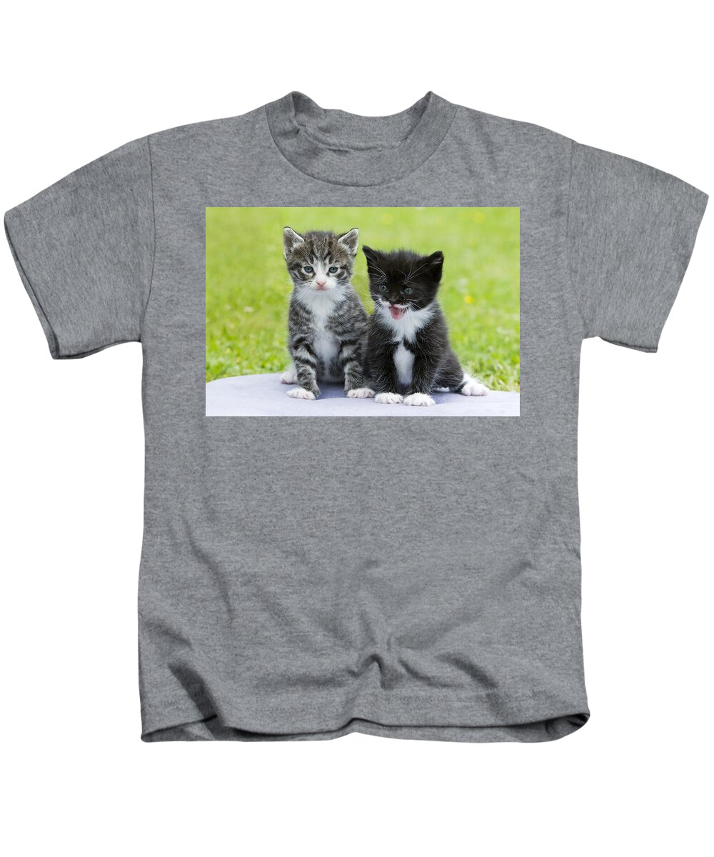 Feb0514 Kids T-Shirt featuring the photograph Tabby And Black Kittens by Duncan Usher