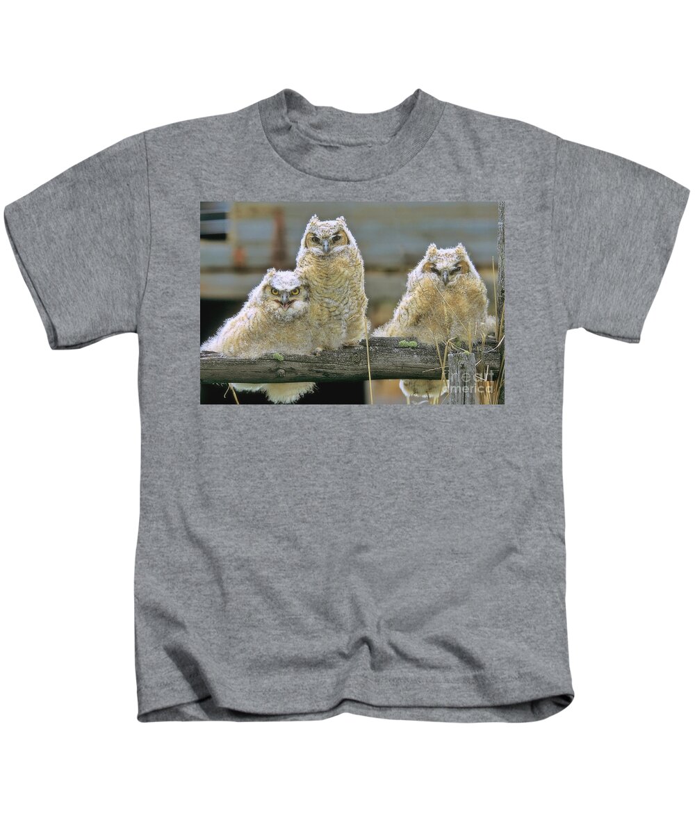 Owls Kids T-Shirt featuring the photograph Three Great-Horned Owl Chicks by Gary Beeler