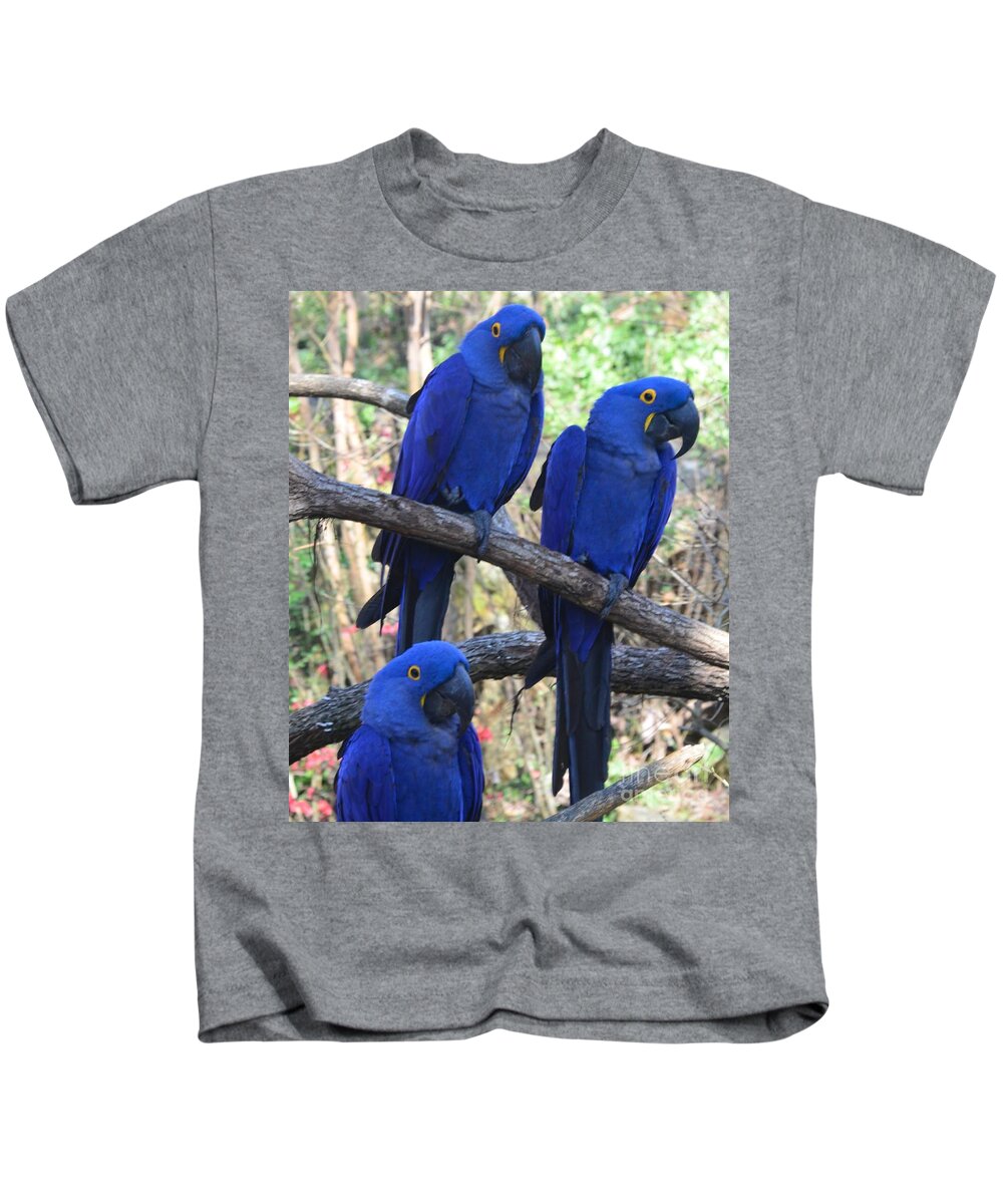 Mac-caw Kids T-Shirt featuring the photograph Three Pals by Kathleen Struckle