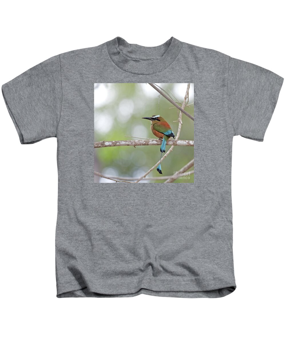 Turquoise-browed Motmot Kids T-Shirt featuring the photograph Turquoise Pendant.. by Nina Stavlund