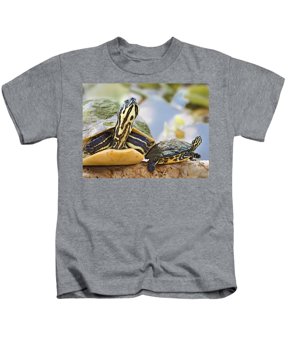Common Kids T-Shirt featuring the photograph Turtle Family by Patrick Lynch