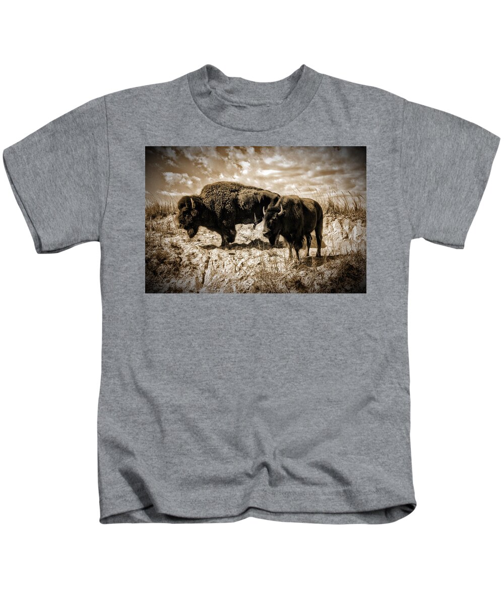 Photograph Kids T-Shirt featuring the photograph Two Buffalo by Richard Gehlbach