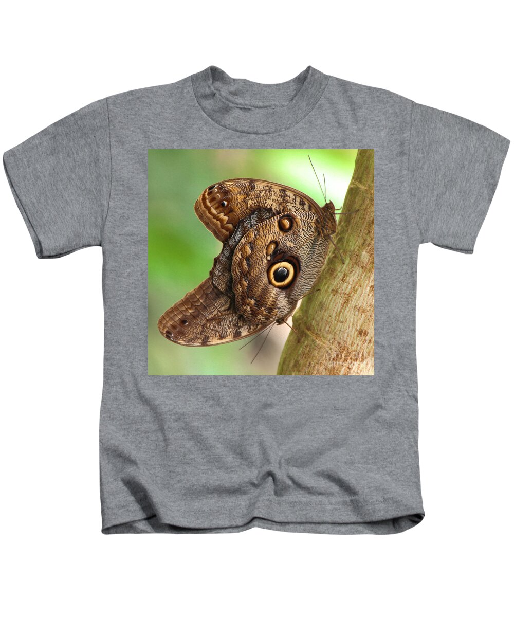 Caligo Kids T-Shirt featuring the photograph Two Caligo Atreus Butterflies by Amanda Mohler