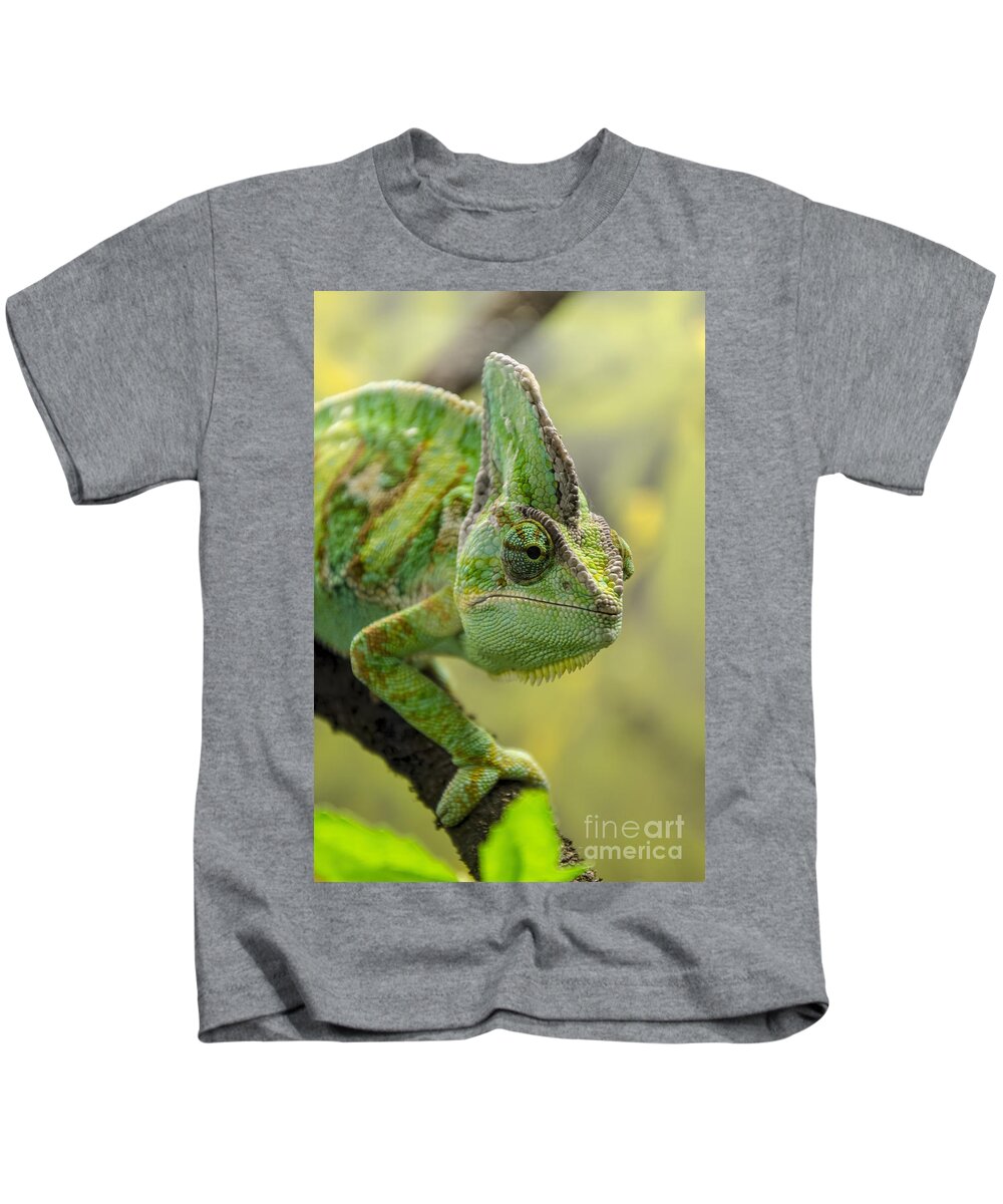 Chameleon Kids T-Shirt featuring the photograph Veiled Chameleon by Steev Stamford