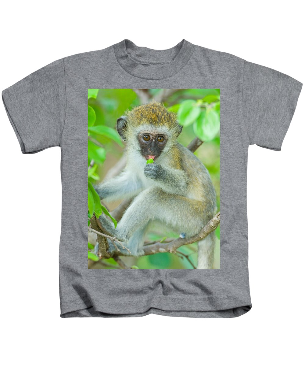 Photography Kids T-Shirt featuring the photograph Vervet Monkey Sitting On A Branch by Panoramic Images