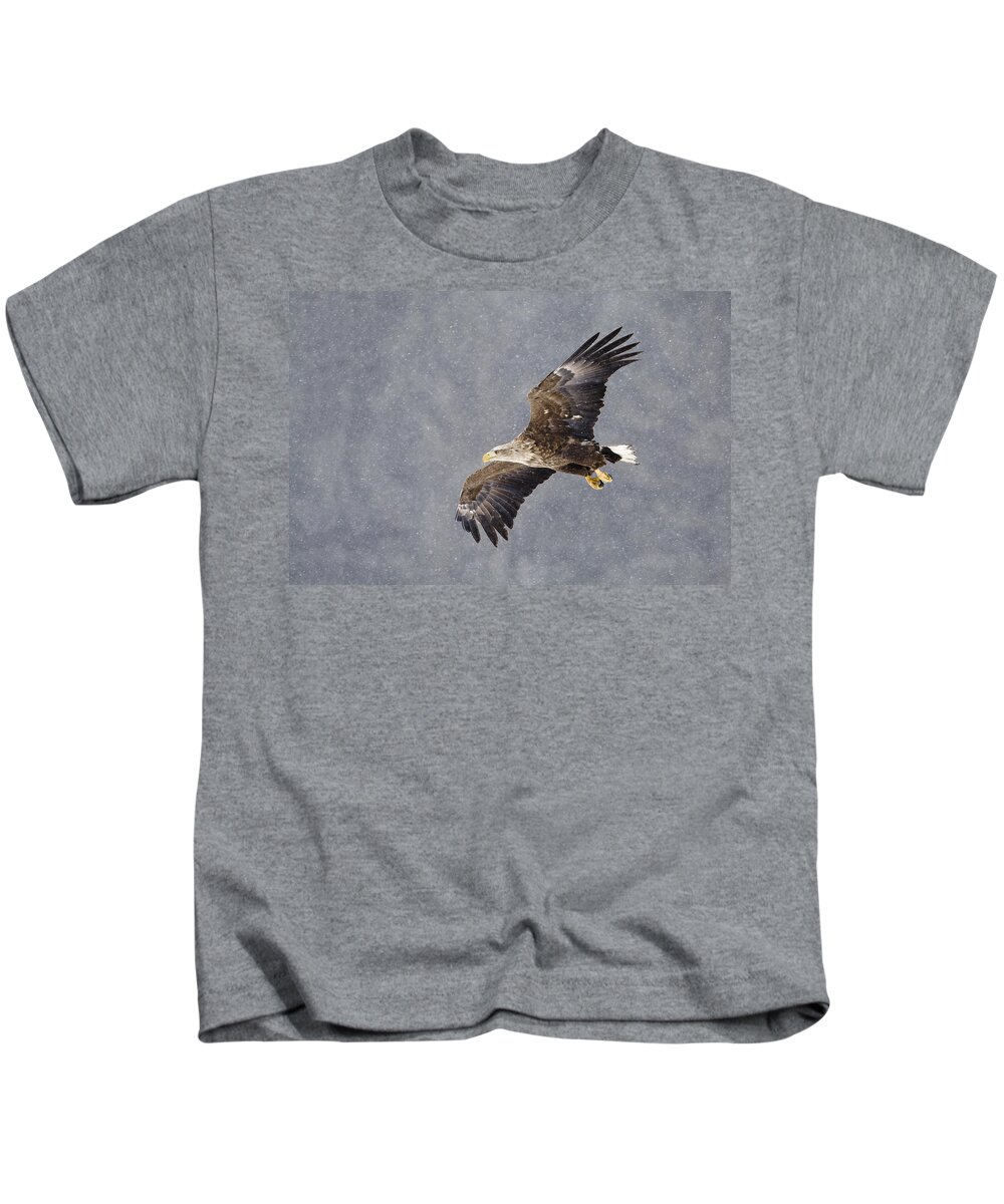 Flpa Kids T-Shirt featuring the photograph White-tailed Eagle In Flight Hokkaido by Dickie Duckett