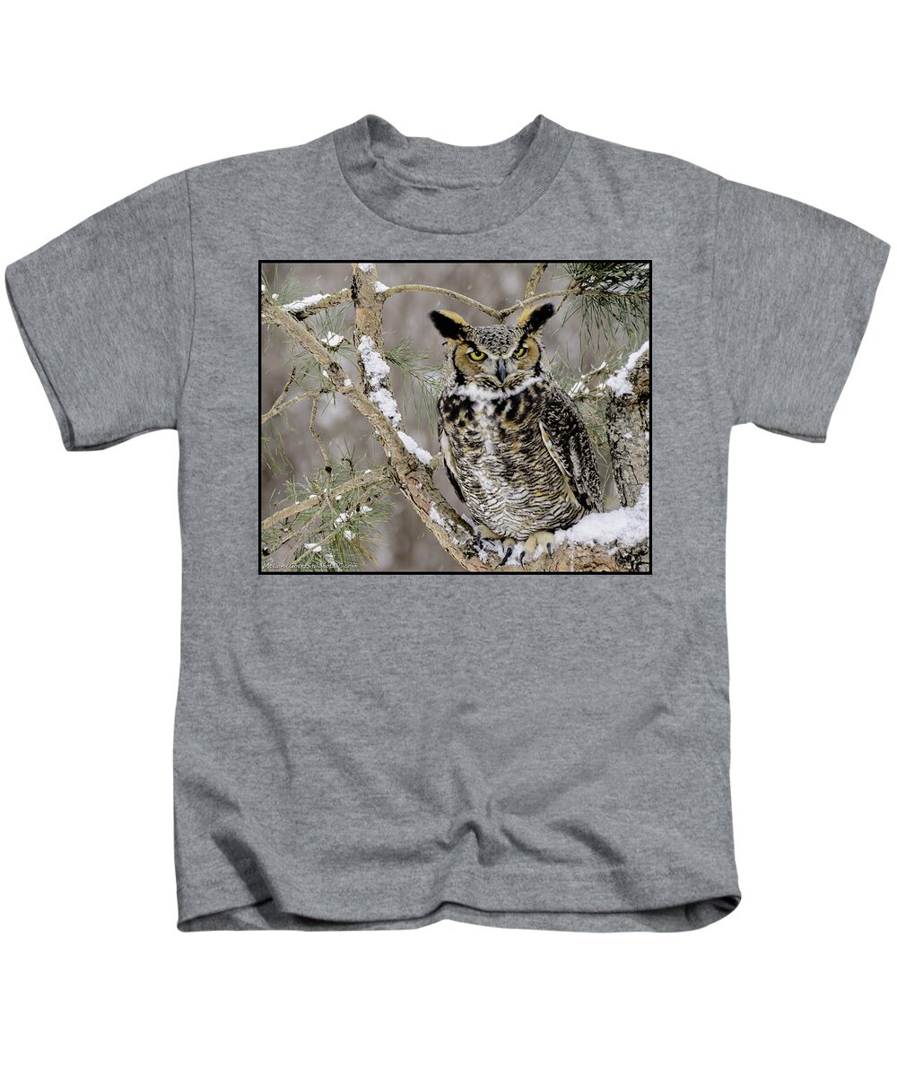 Great Kids T-Shirt featuring the photograph Wise Old Great Horned Owl by LeeAnn McLaneGoetz McLaneGoetzStudioLLCcom