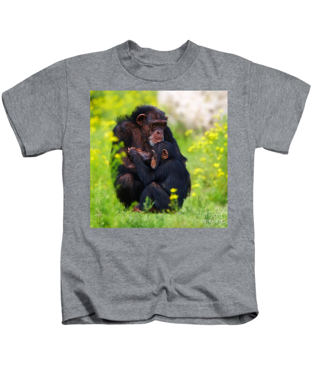 Chimpanzee Kids T-Shirt featuring the photograph Young Chimpanzee with adult - II by Nick Biemans