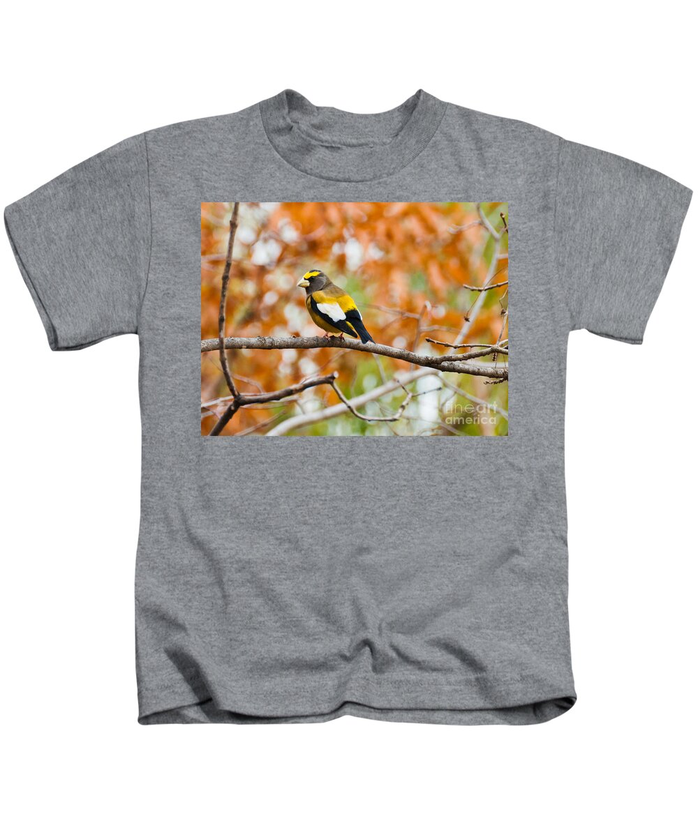 Evening Grosbeak Kids T-Shirt featuring the photograph Autumn Perch by Cheryl Baxter