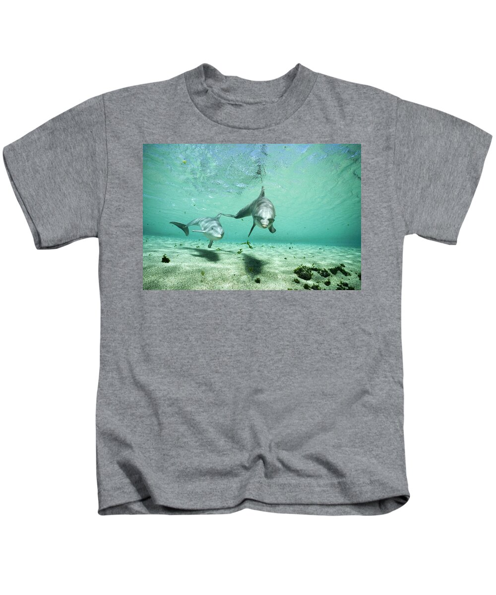 00082396 Kids T-Shirt featuring the photograph Bottlenose Dolphin Pair Hawaii #1 by Flip Nicklin