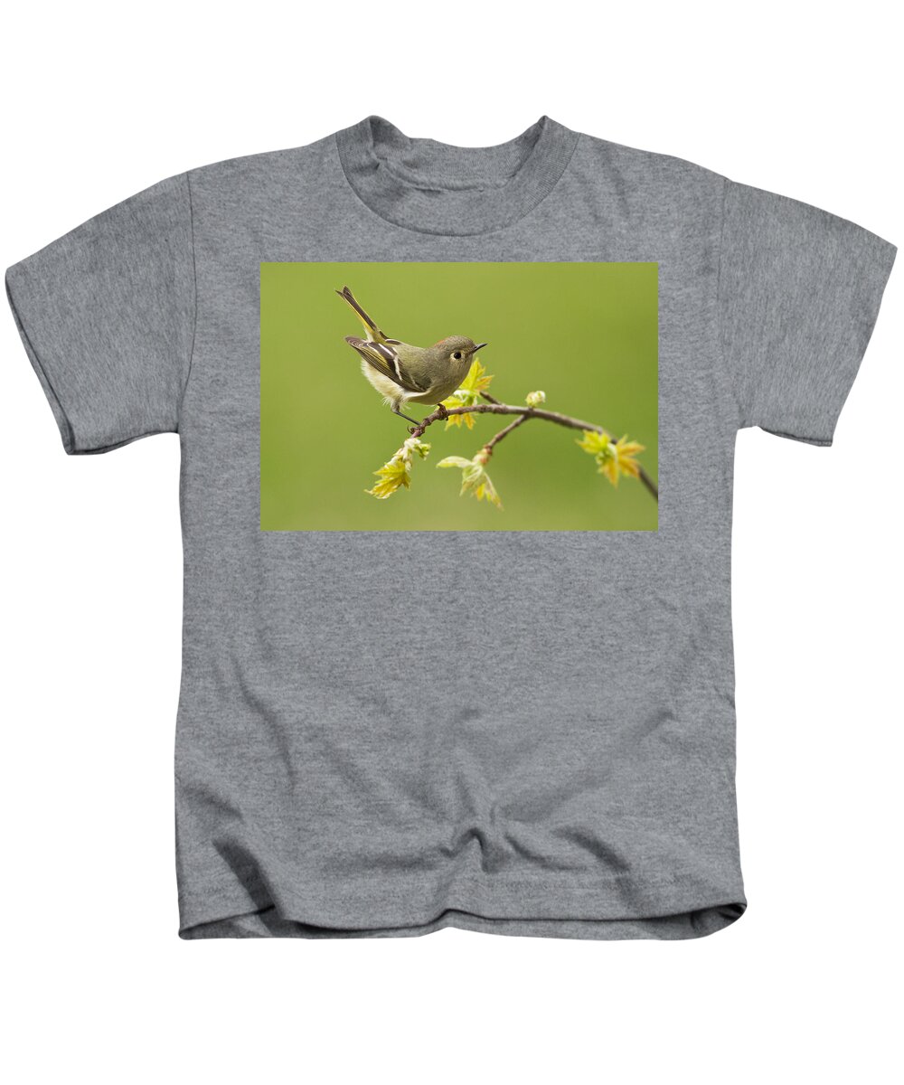 Ruby Kids T-Shirt featuring the photograph Kinglet #1 by Mircea Costina Photography