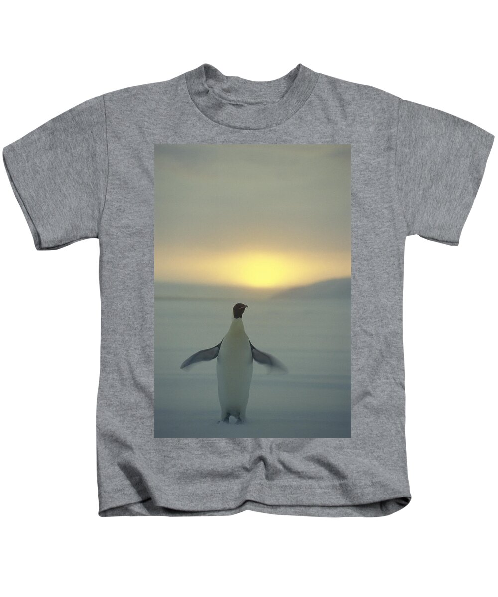 Mp Kids T-Shirt featuring the photograph Emperor Penguin Aptenodytes Forsteri #4 by Pete Oxford