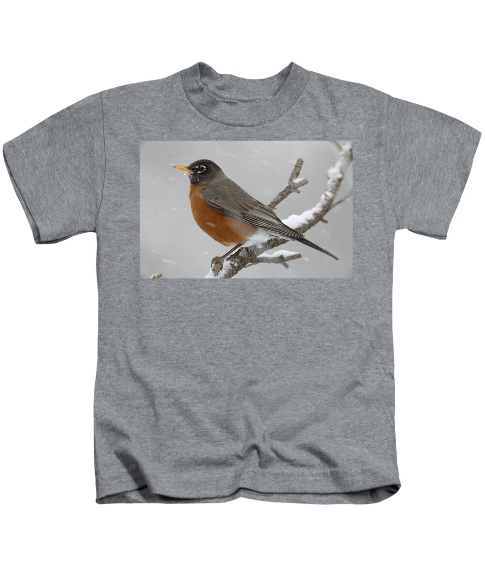 00176633 Kids T-Shirt featuring the photograph American Robin Perching In Snow Storm by Tim Fitzharris