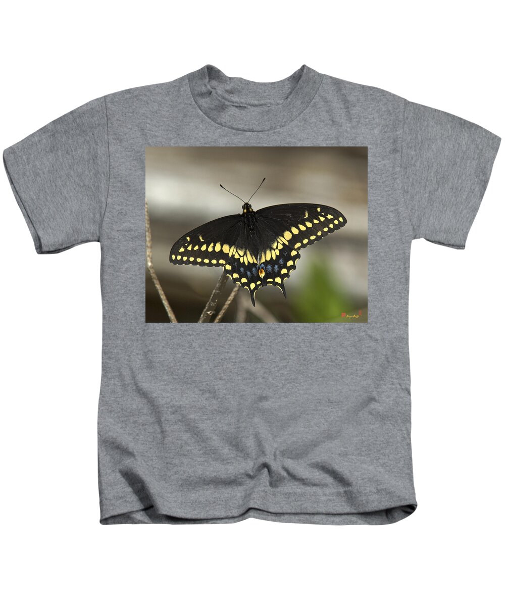 Insect Kids T-Shirt featuring the photograph Black Swallowtail DIN103 by Gerry Gantt