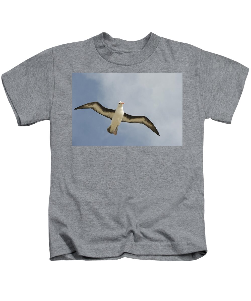 00429441 Kids T-Shirt featuring the photograph Blackbrowed Albatross Flying Falkland by Flip Nicklin