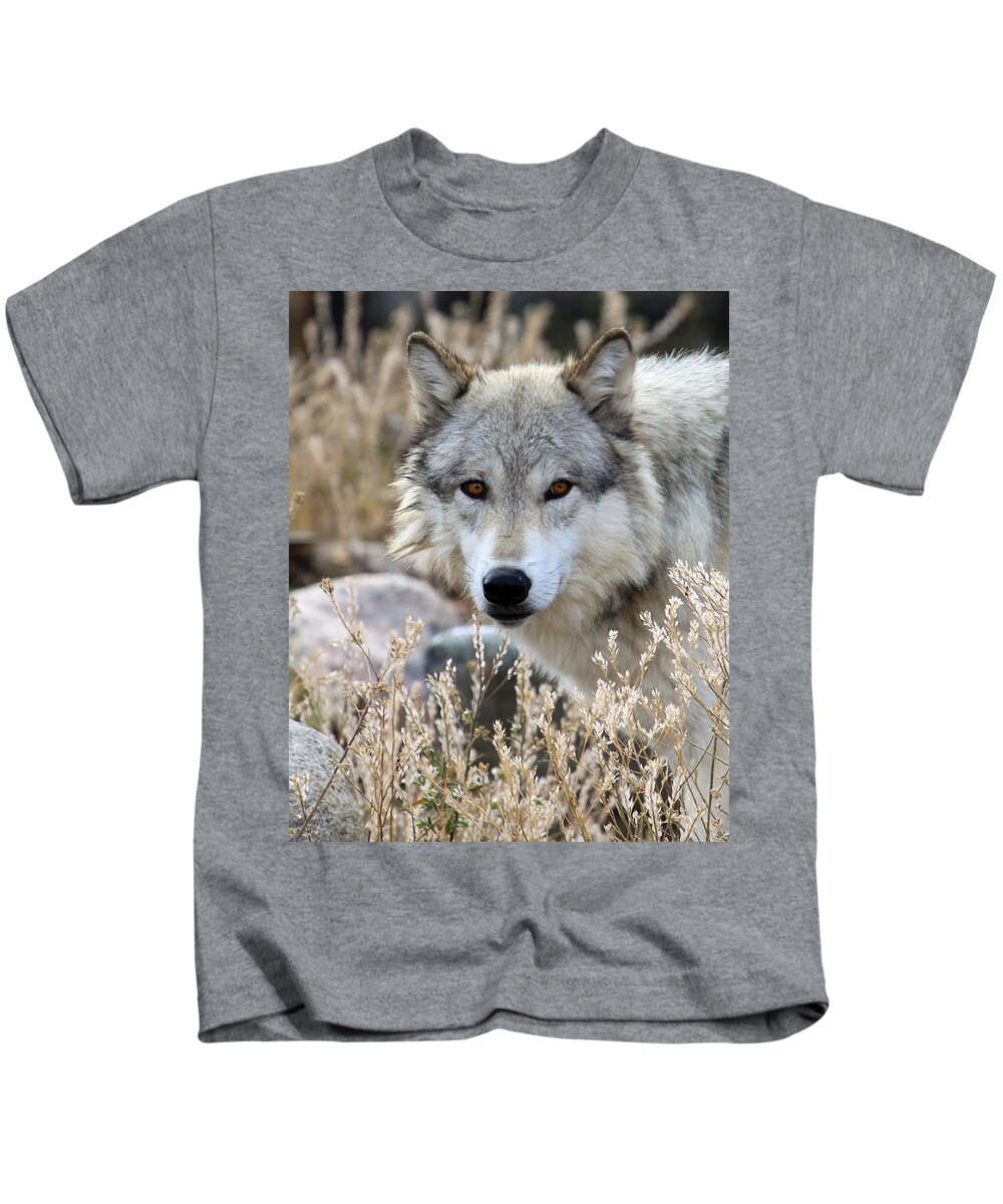 Wolf Kids T-Shirt featuring the photograph Blending Wolf by Steve McKinzie