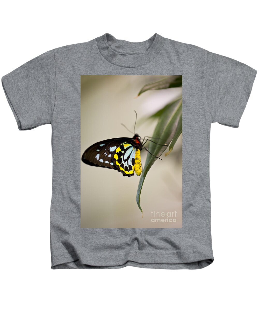 Butterfly Kids T-Shirt featuring the photograph Colorful Lady by Leslie Leda