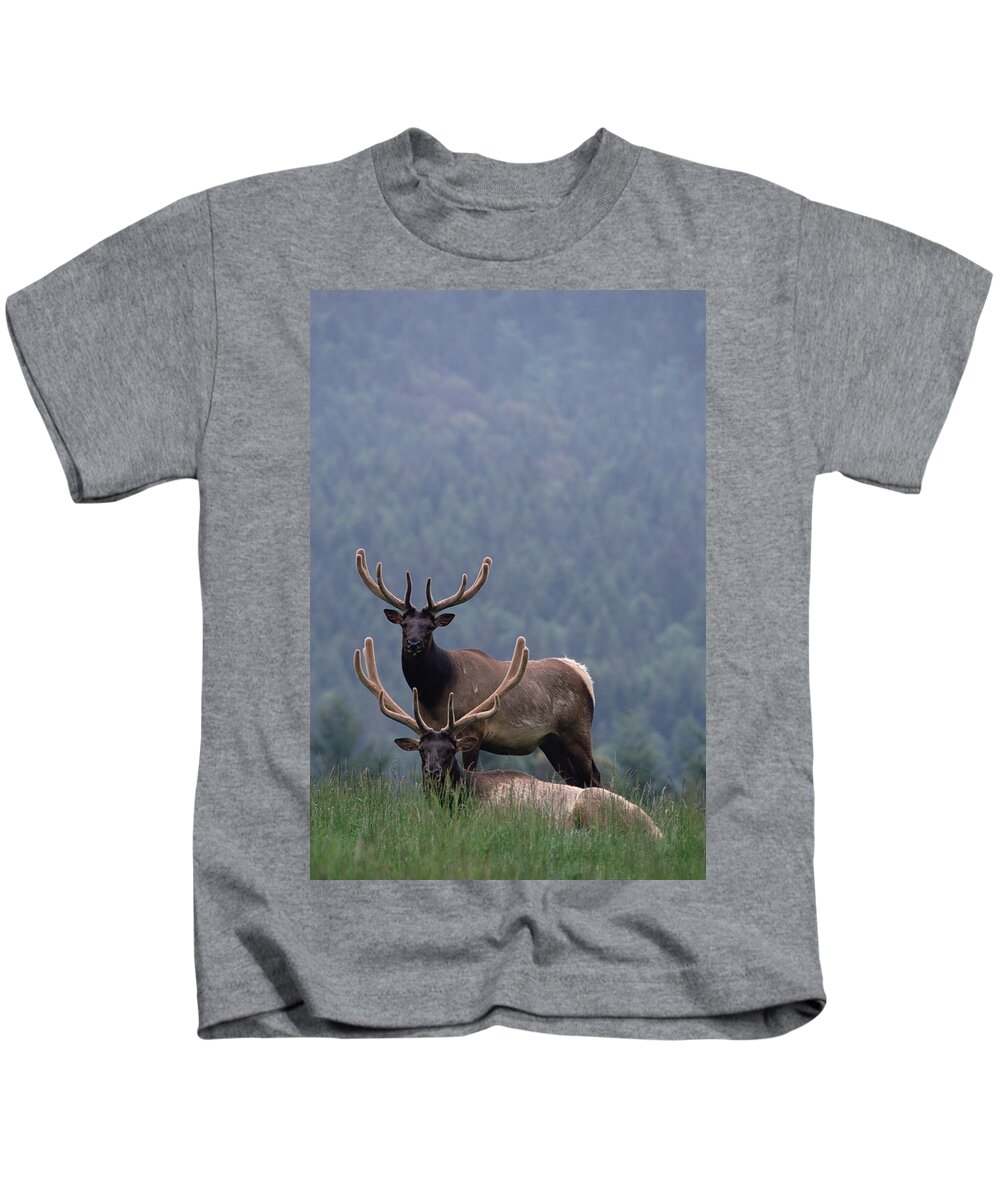 Mp Kids T-Shirt featuring the photograph Elk Cervus Elaphus Pair, One Resting by Gerry Ellis