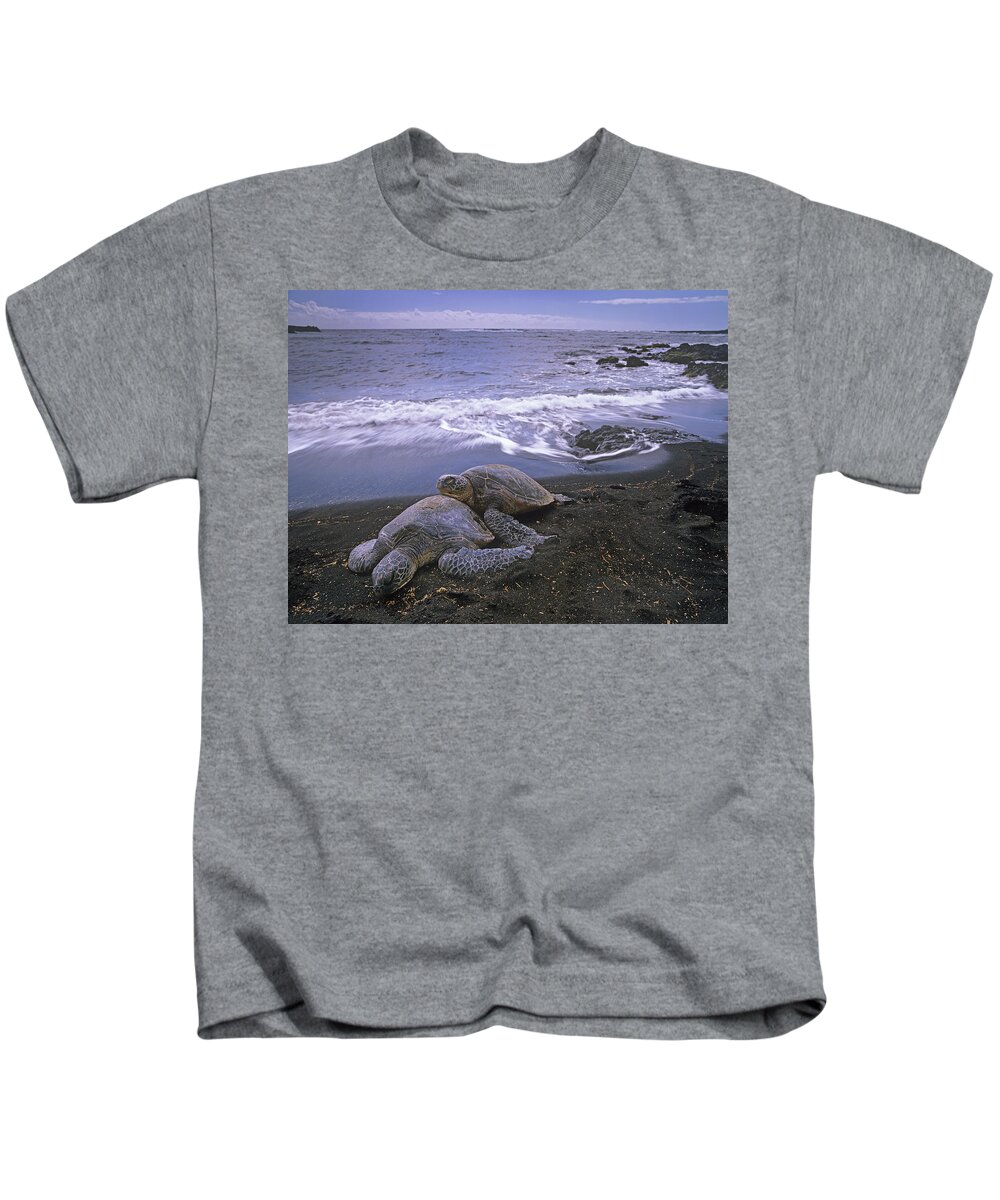 Mp Kids T-Shirt featuring the photograph Green Sea Turtle Chelonia Mydas Pair by Tim Fitzharris