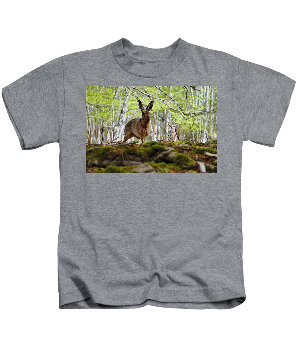 Brown Hare Kids T-Shirt featuring the photograph I'm all ears by Gavin Macrae