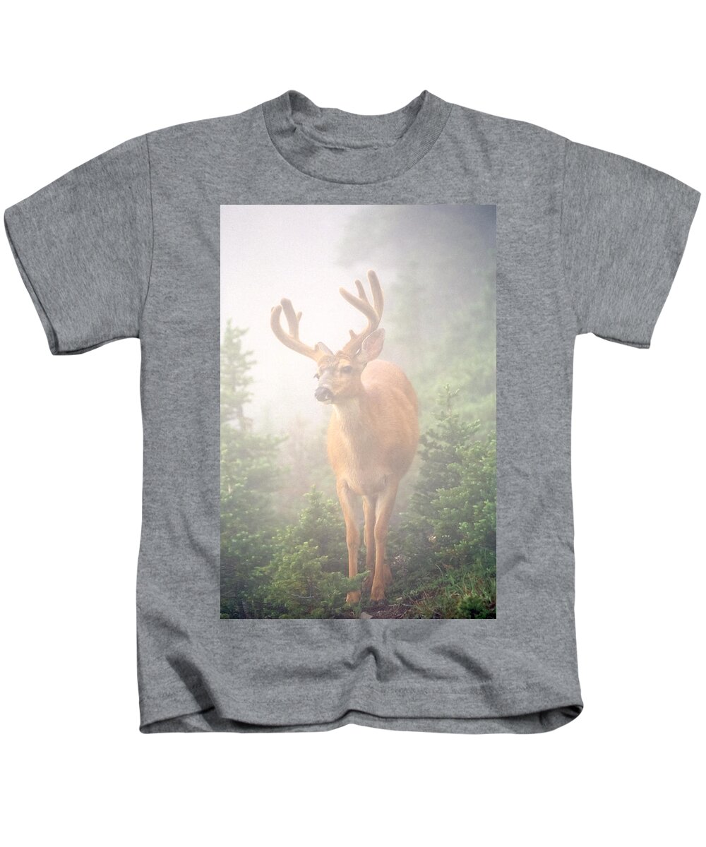 Deer Kids T-Shirt featuring the photograph In the Mist by Tom and Pat Cory