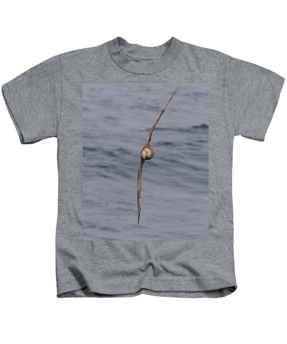 Southern Giant Petrel (macronectes Giganteus) Kids T-Shirt featuring the photograph Into The Wind by Tony Beck