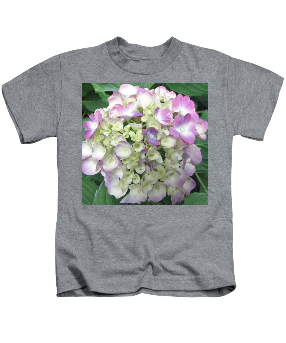 Hydrangea Kids T-Shirt featuring the photograph Pretty Pastels by Kim Galluzzo Wozniak